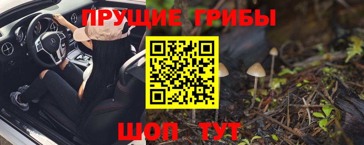 Псилоцибиновые грибы ЛСД Людиново