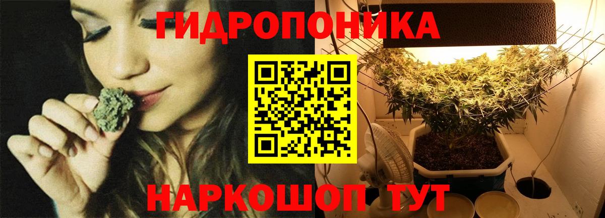 Конопля гибрид Людиново